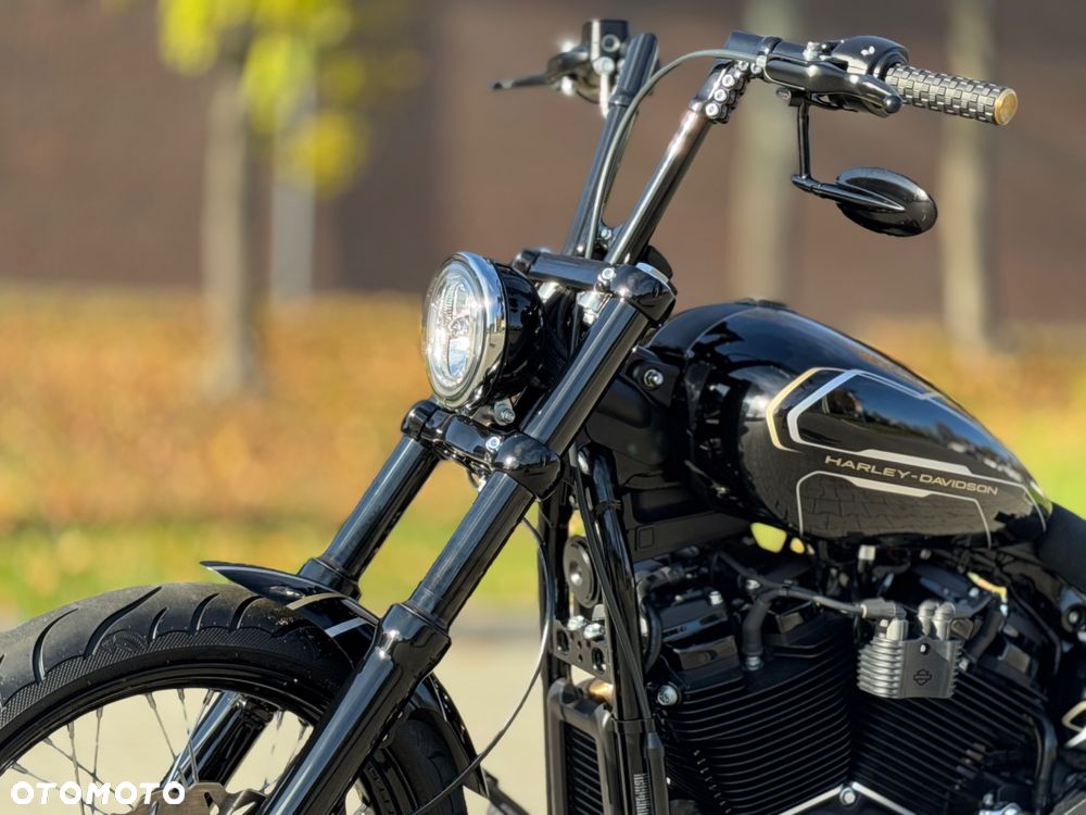 Harley-Davidson Softail Standard - 18
