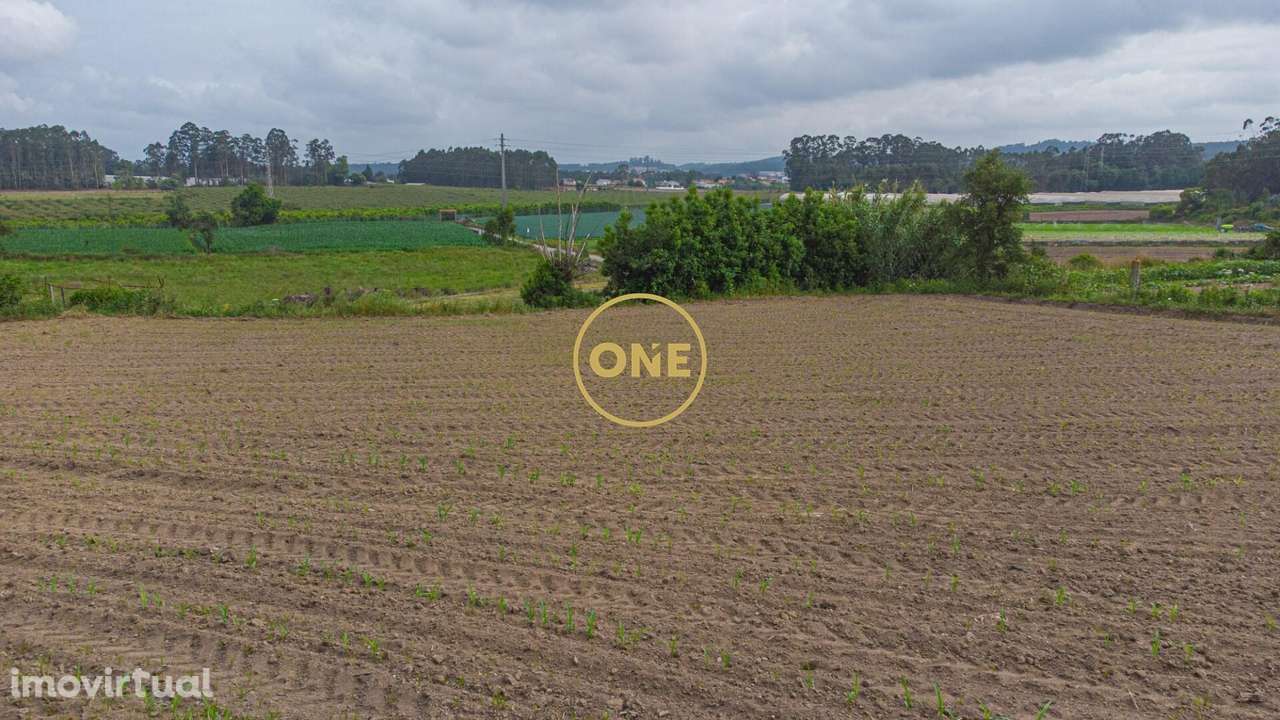 Terreno com Potencial para Construção – Mosteiro, Vila do Conde - Grande imagem: 3/10