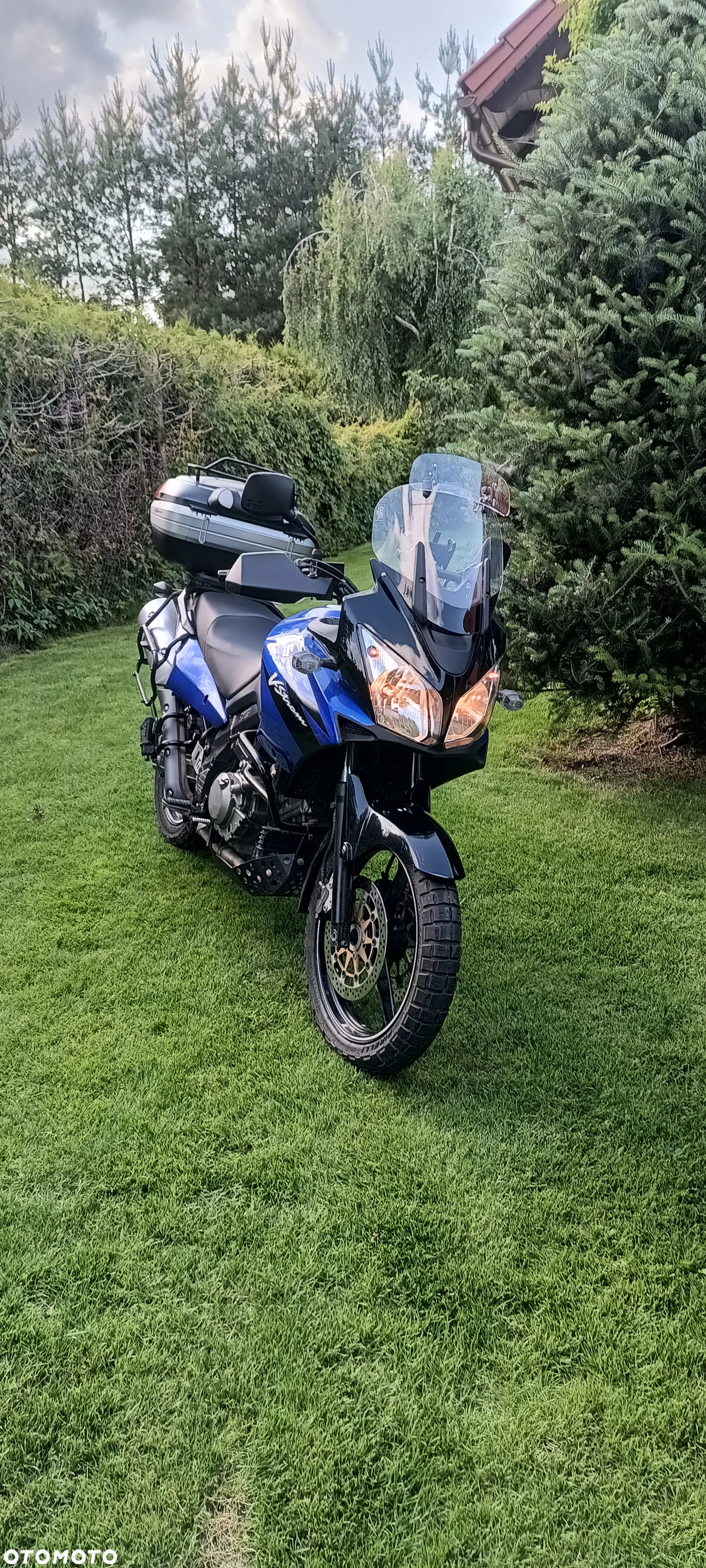 Suzuki DL - 6