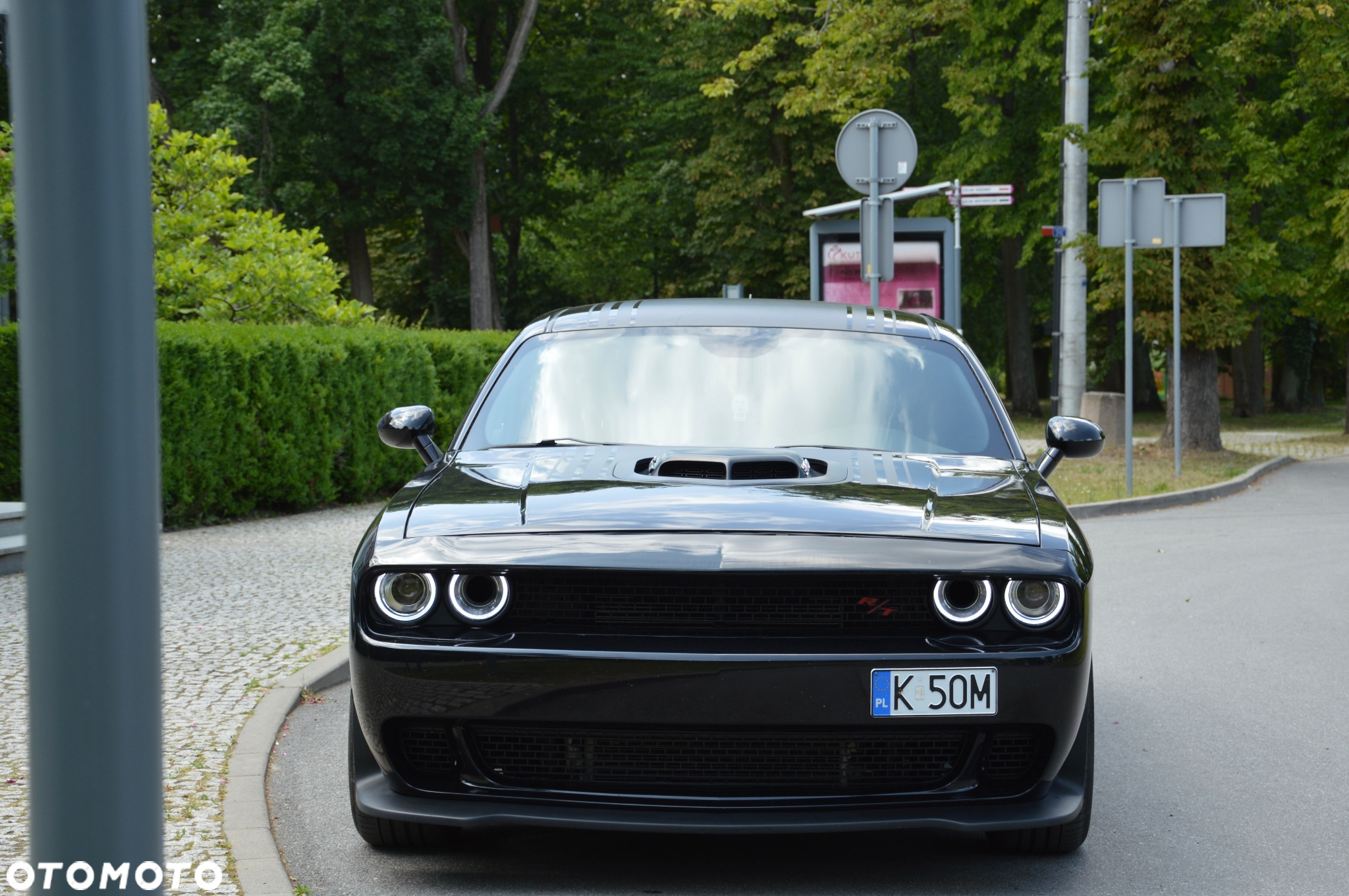 Dodge Challenger Automatik R/T Plus Shaker - 9