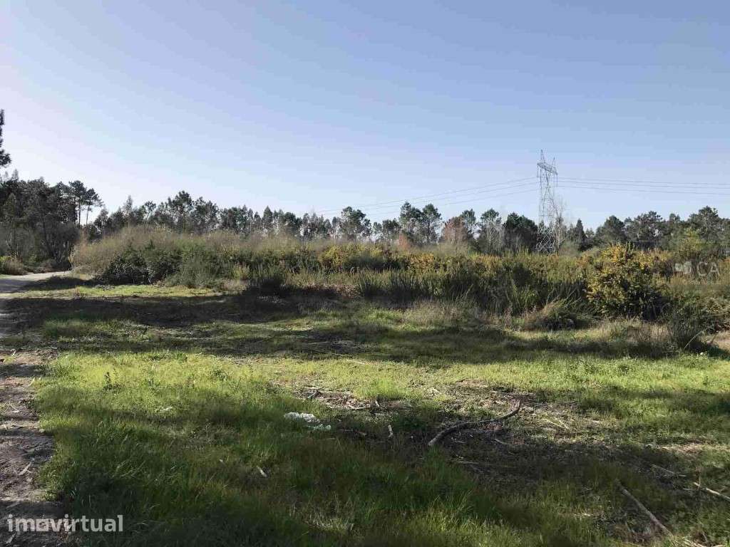 Venda conjunta de 9 terrenos rústicos com área total de 26.407m² - Grande imagem: 3/5