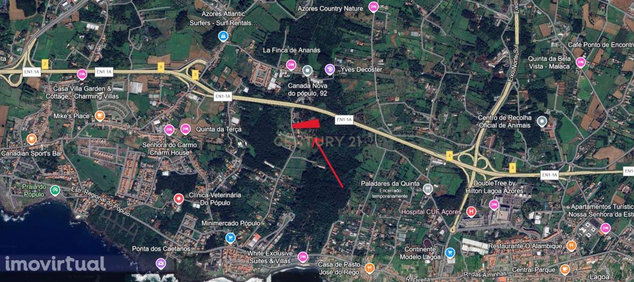 Terreno, 7 920 m², Rosto de Cão (Livramento) - Grande imagem: 4/11