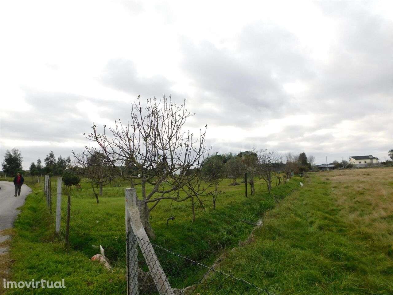 Terreno / Seia, Tourais e Lajes - Grande imagem: 2/10