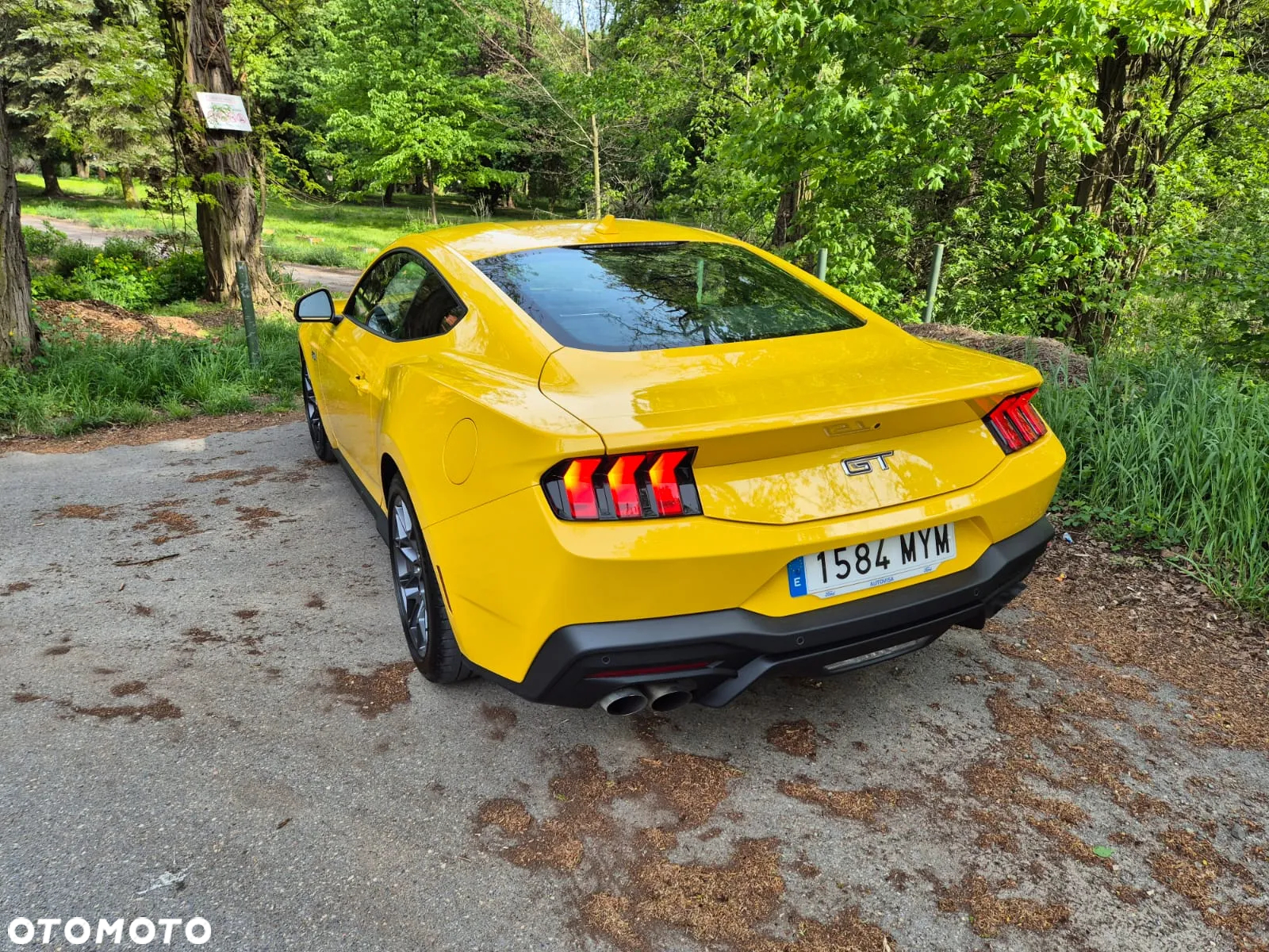 Ford Mustang Fastback 5.0 Ti-VCT V8 GT - 26