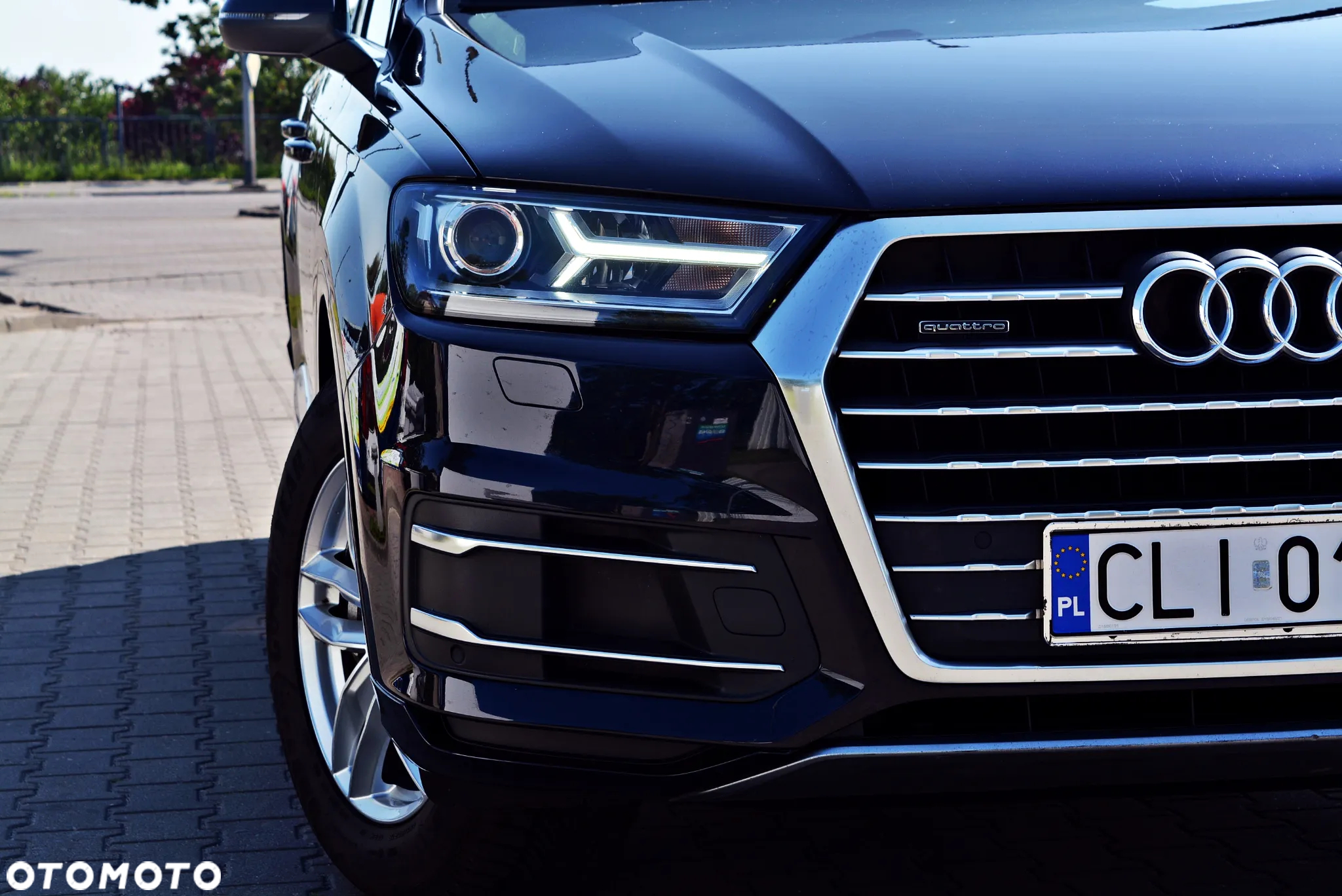 Audi Q7 3.0 TDI DPF Quattro Tiptronic - 30
