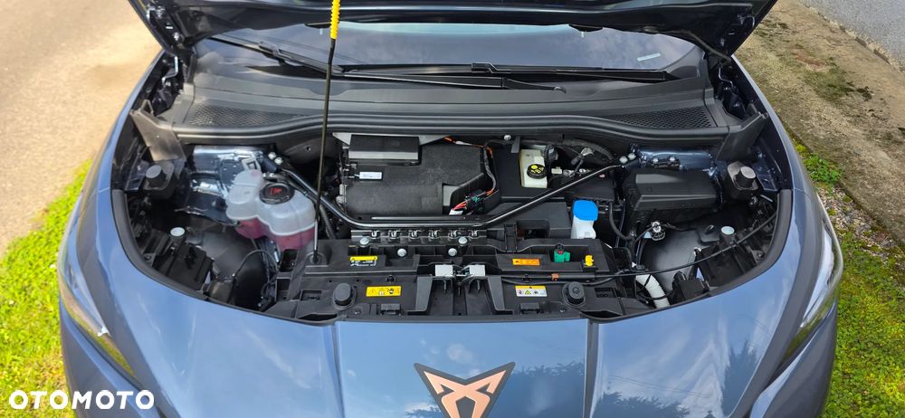 Cupra Tavascan - 14
