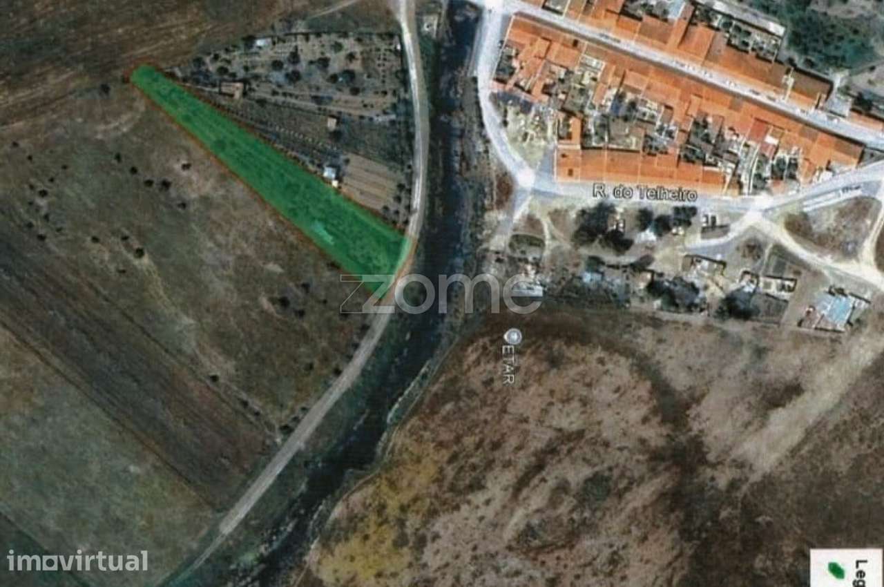 Terreno rustico com pomar