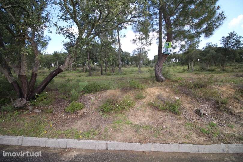 Terreno  Venda em Carregueira,Chamusca - Grande imagem: 5/5
