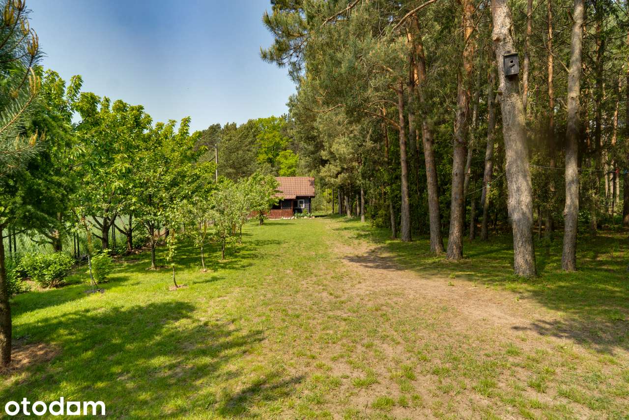 Duża działka z dwoma domkami i garażem - blisko rzeki Narew - Pełny obrazek: 4/17