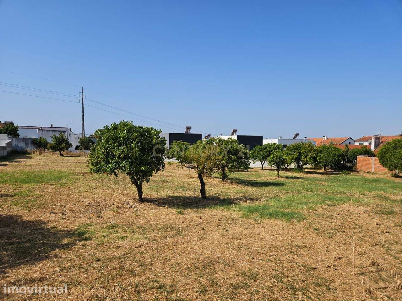 Terreno Urbano em Atalaia Vila Nova da Barquinha - Grande imagem: 3/8