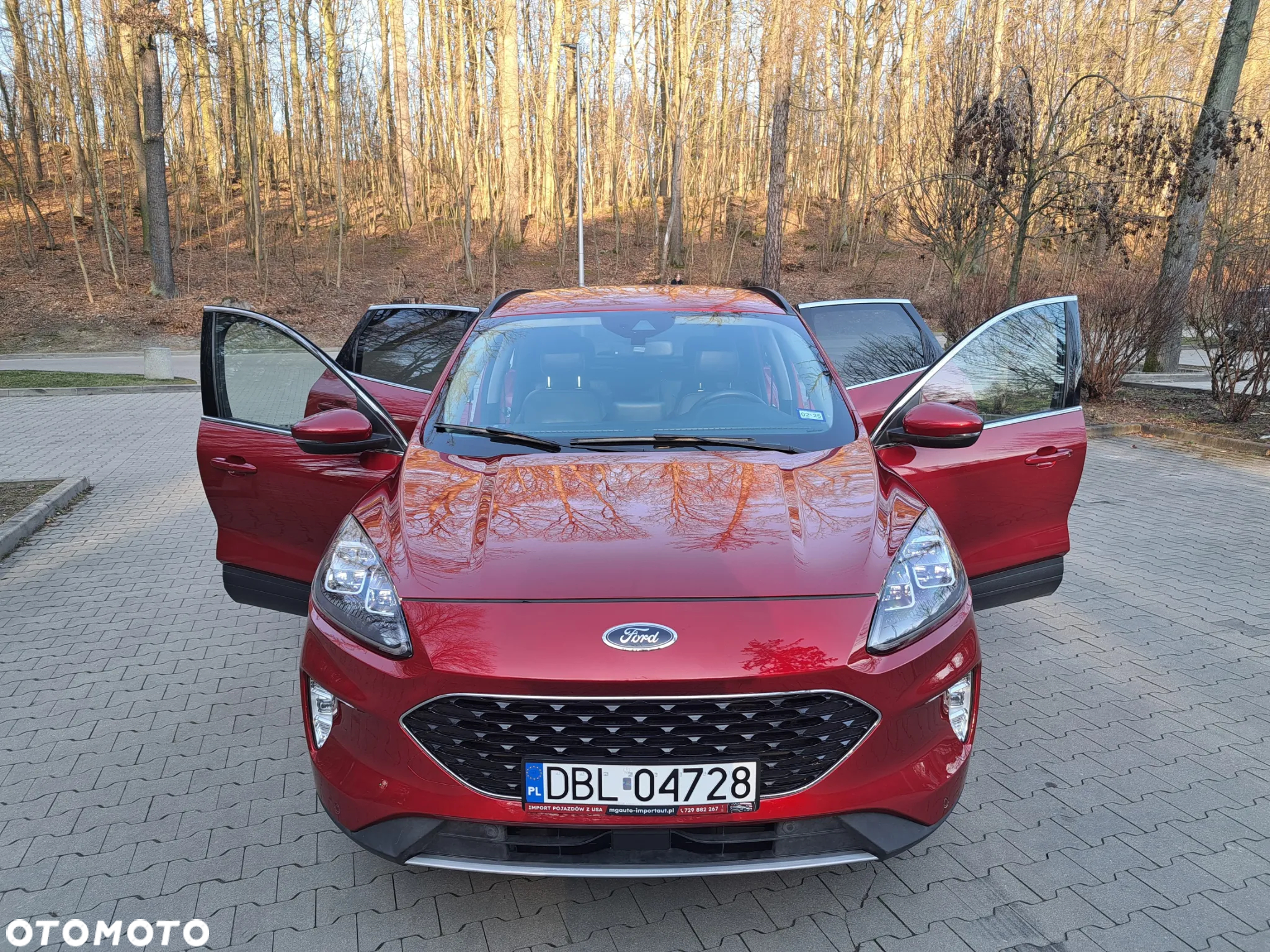 Ford Escape - 11