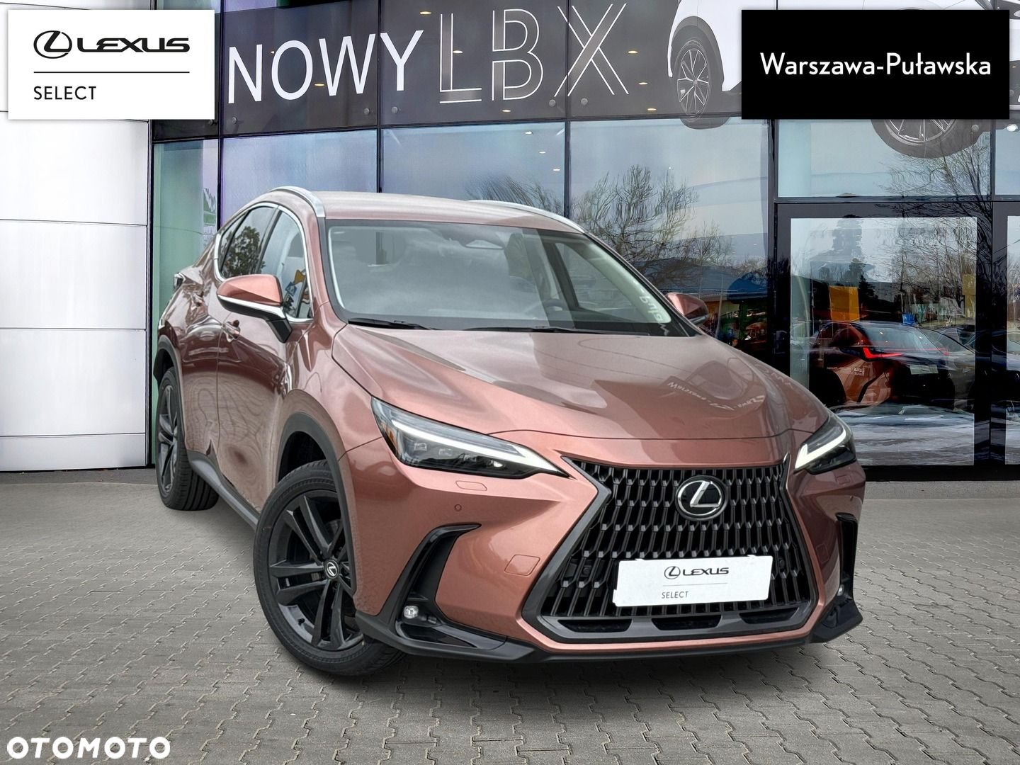 Lexus NX - 3