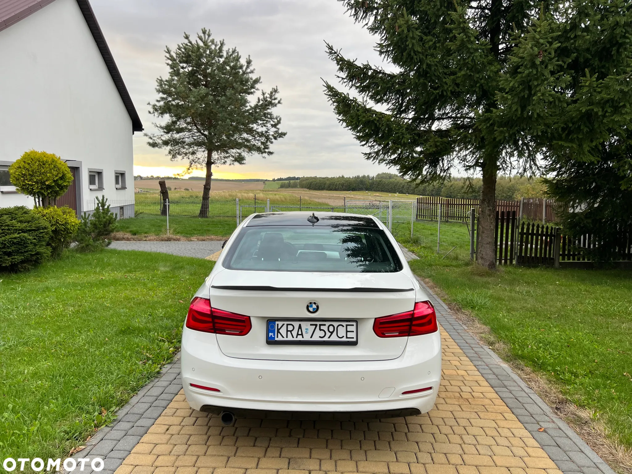 BMW Seria 3 318i - 8