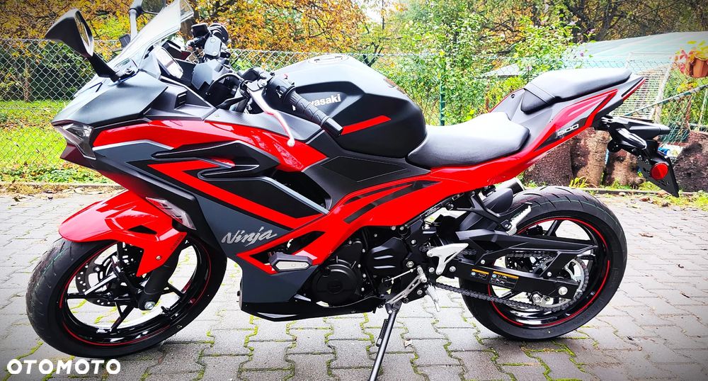Kawasaki Ninja - 3