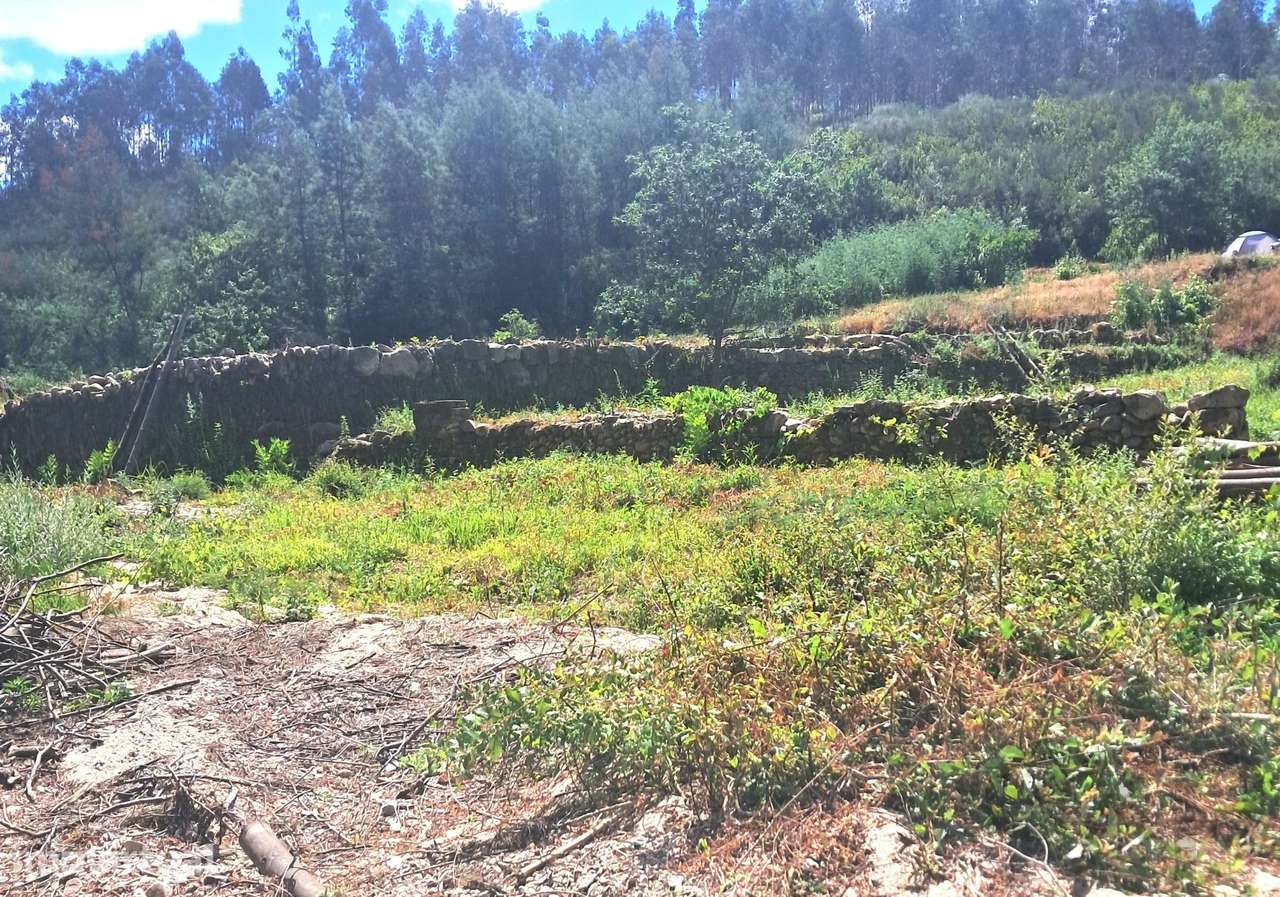 Terreno Rústico com Frente de Rio e Construção de Apoio Agrícola – Arg - View 4