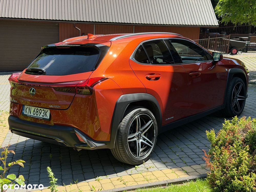Lexus UX 250h GPF F Sport AWD - 12