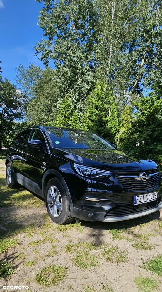 Opel Grandland X 2.0 D Start/Stop Automatik Ultimate - 1