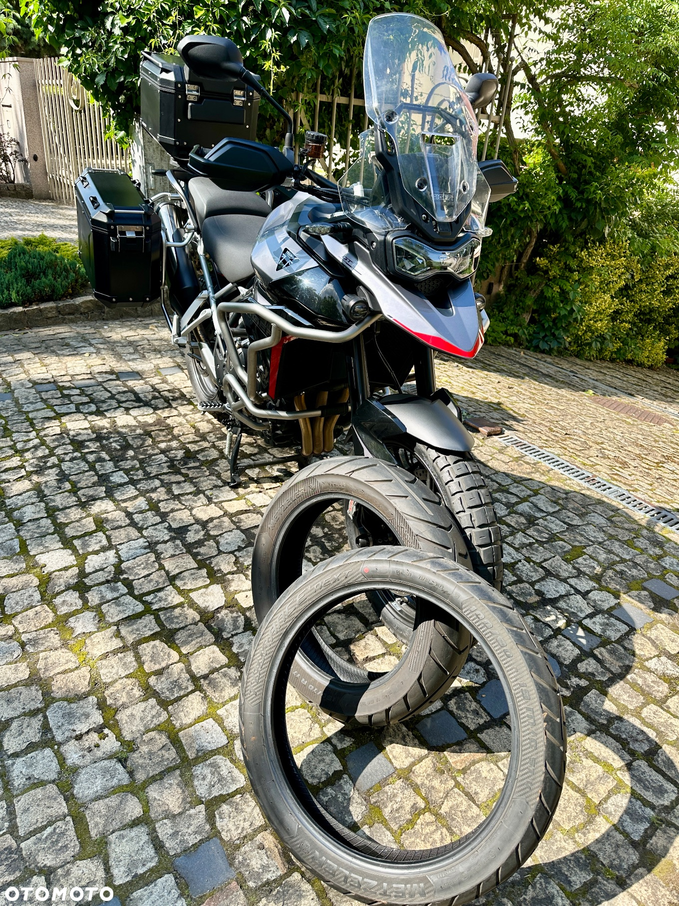 Triumph Tiger - 18