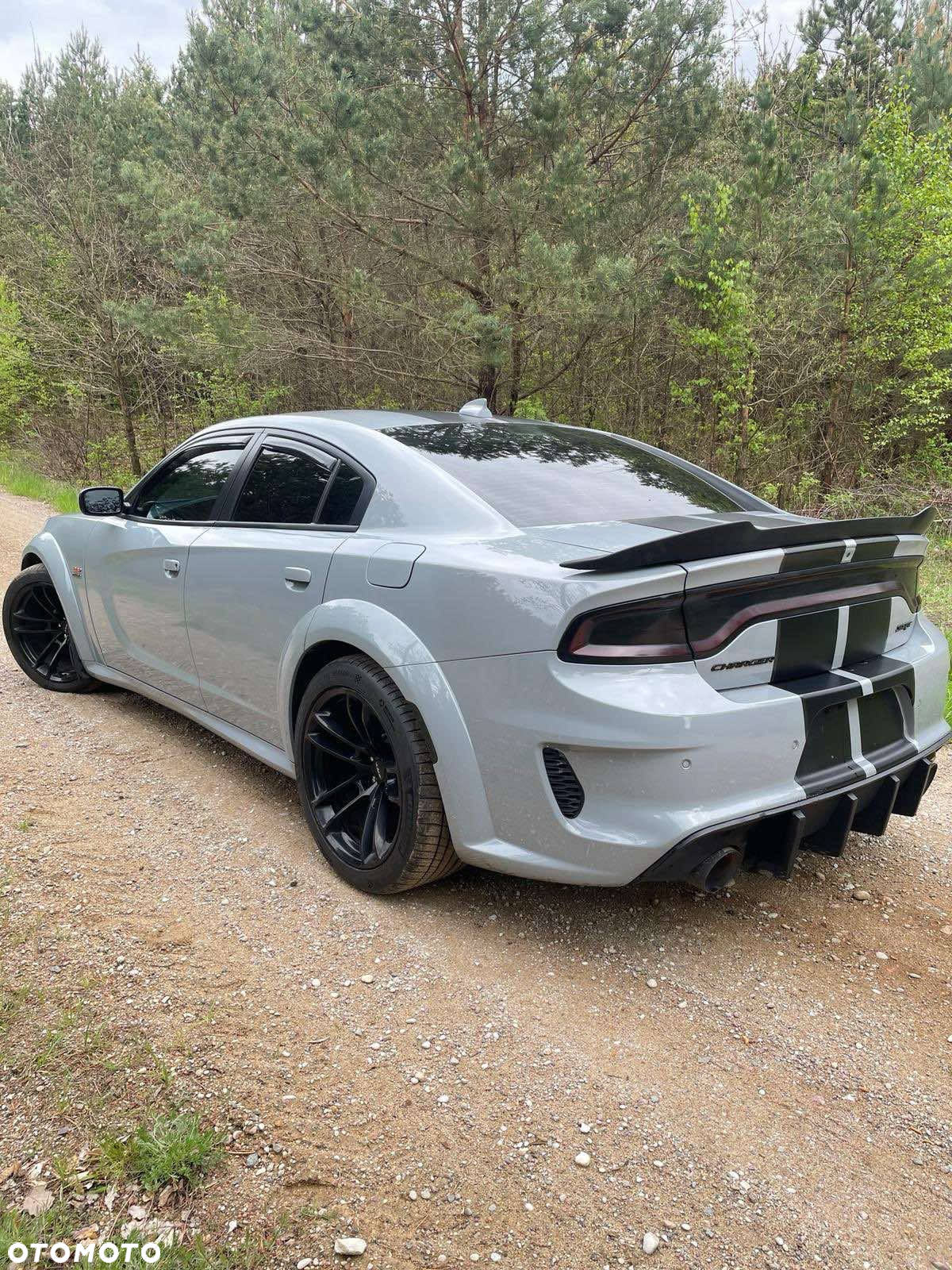 Dodge Charger 6.4 Scat Pack Widebody - 14