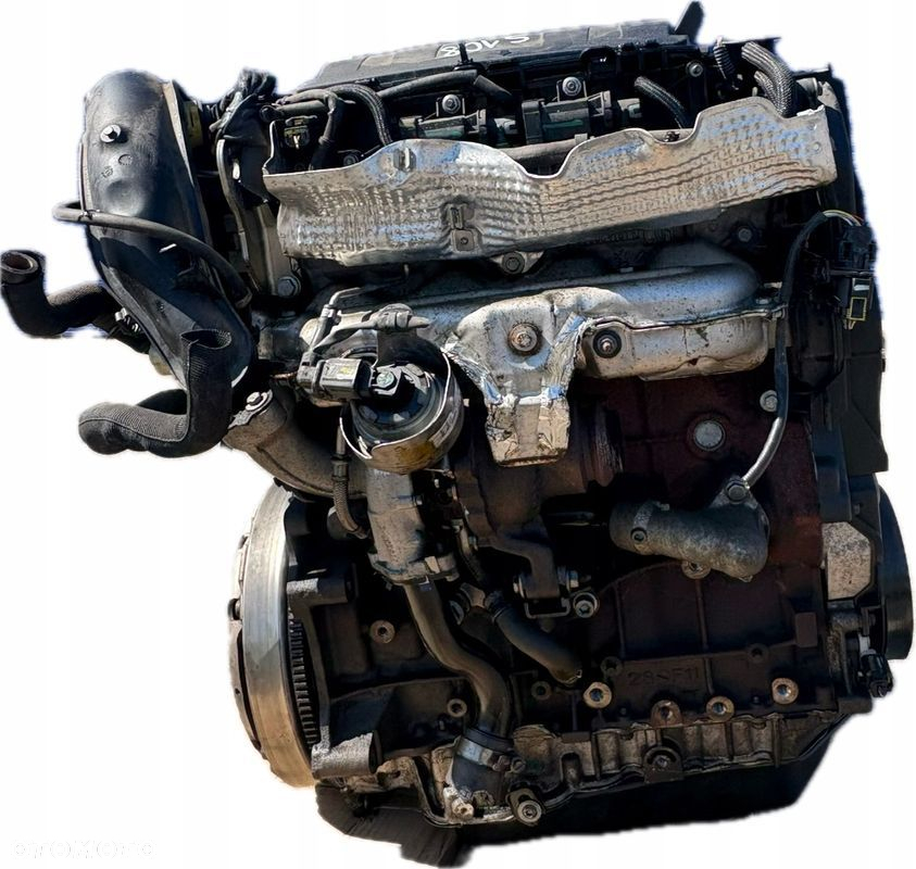 SILNIK KOMPLETNY FIAT SCUDO 2.0 JTD RHH/RH02 - 5