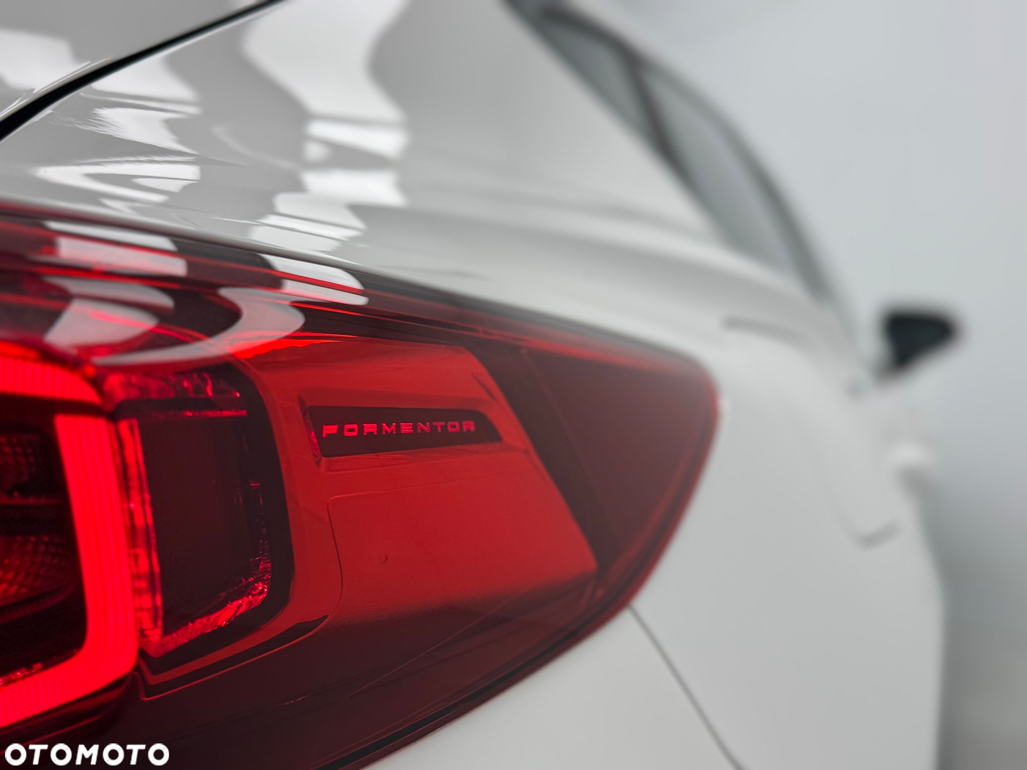 Cupra Formentor 1.5 TSI DSG - 20