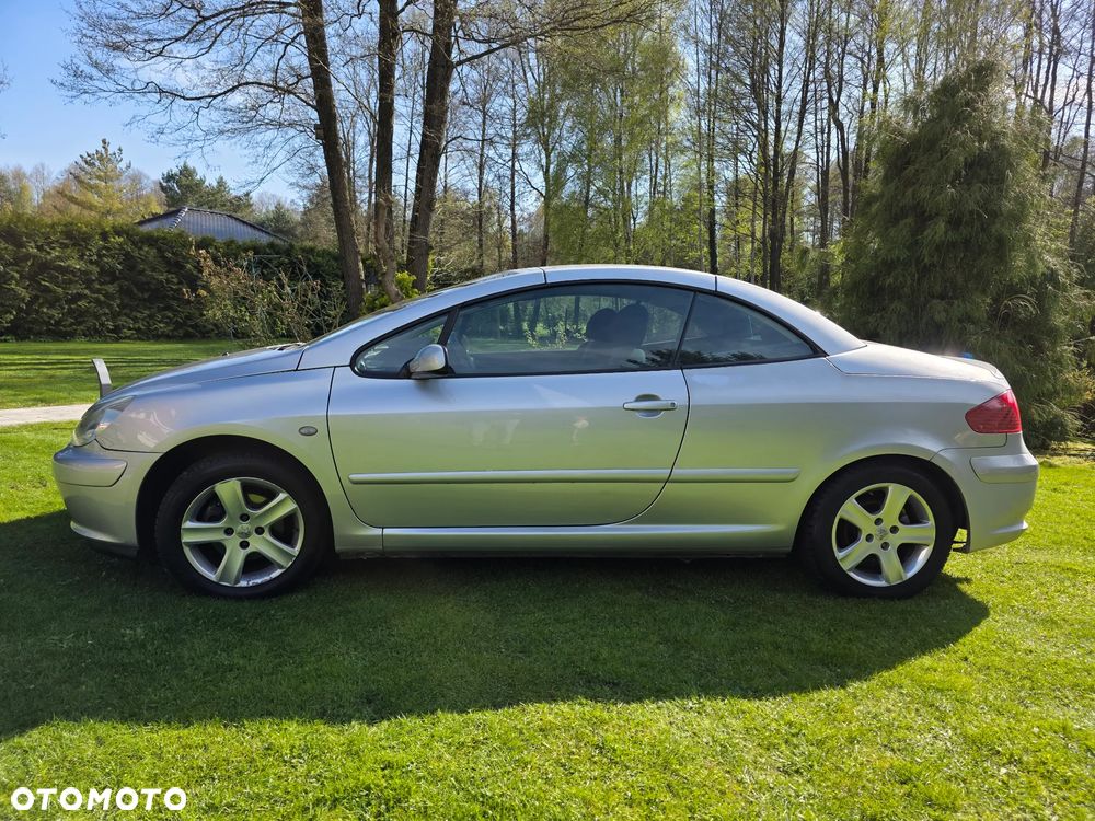 Peugeot 307 2.0 XS Class - 10