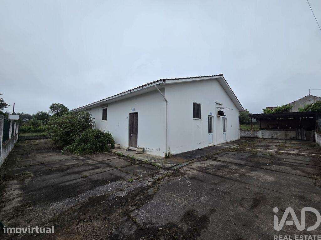 Ateliê em Pinheiro de Ázere de 400 m2 - Grande imagem: 2/22