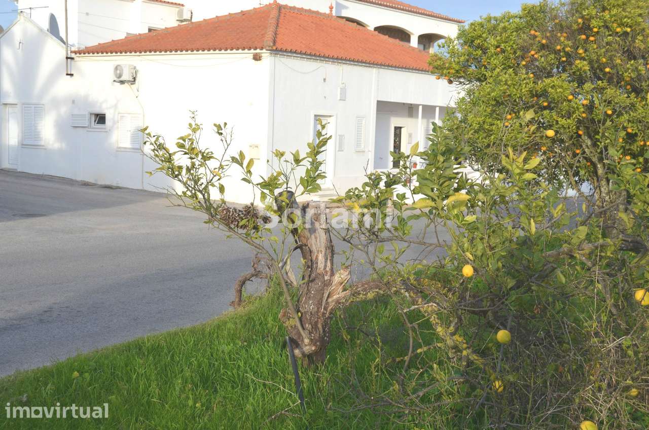 Terreno Rústico  Venda em Albufeira e Olhos de Água,Albufeira - Grande imagem: 3/4