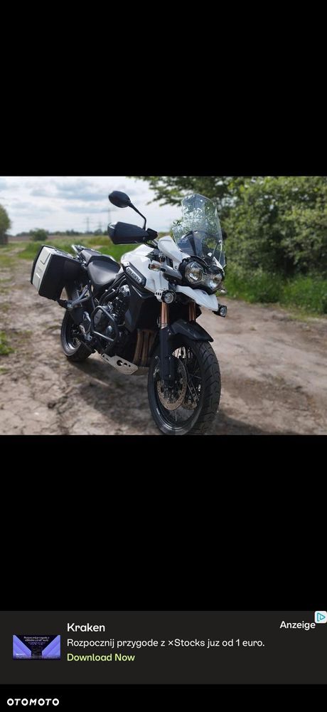 Triumph Tiger - 1