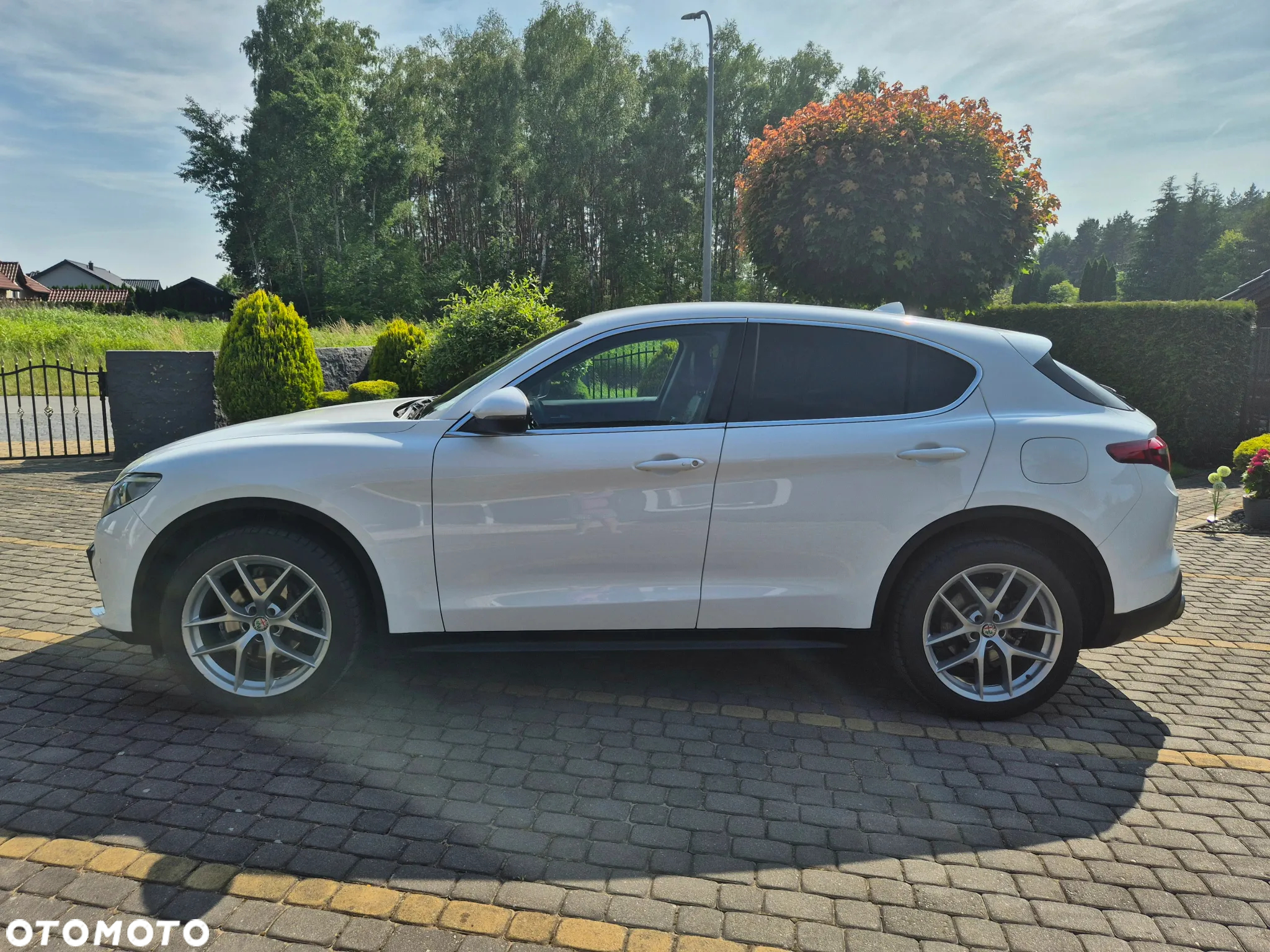 Alfa Romeo Stelvio 2.0 Turbo First Edition Q4 - 6