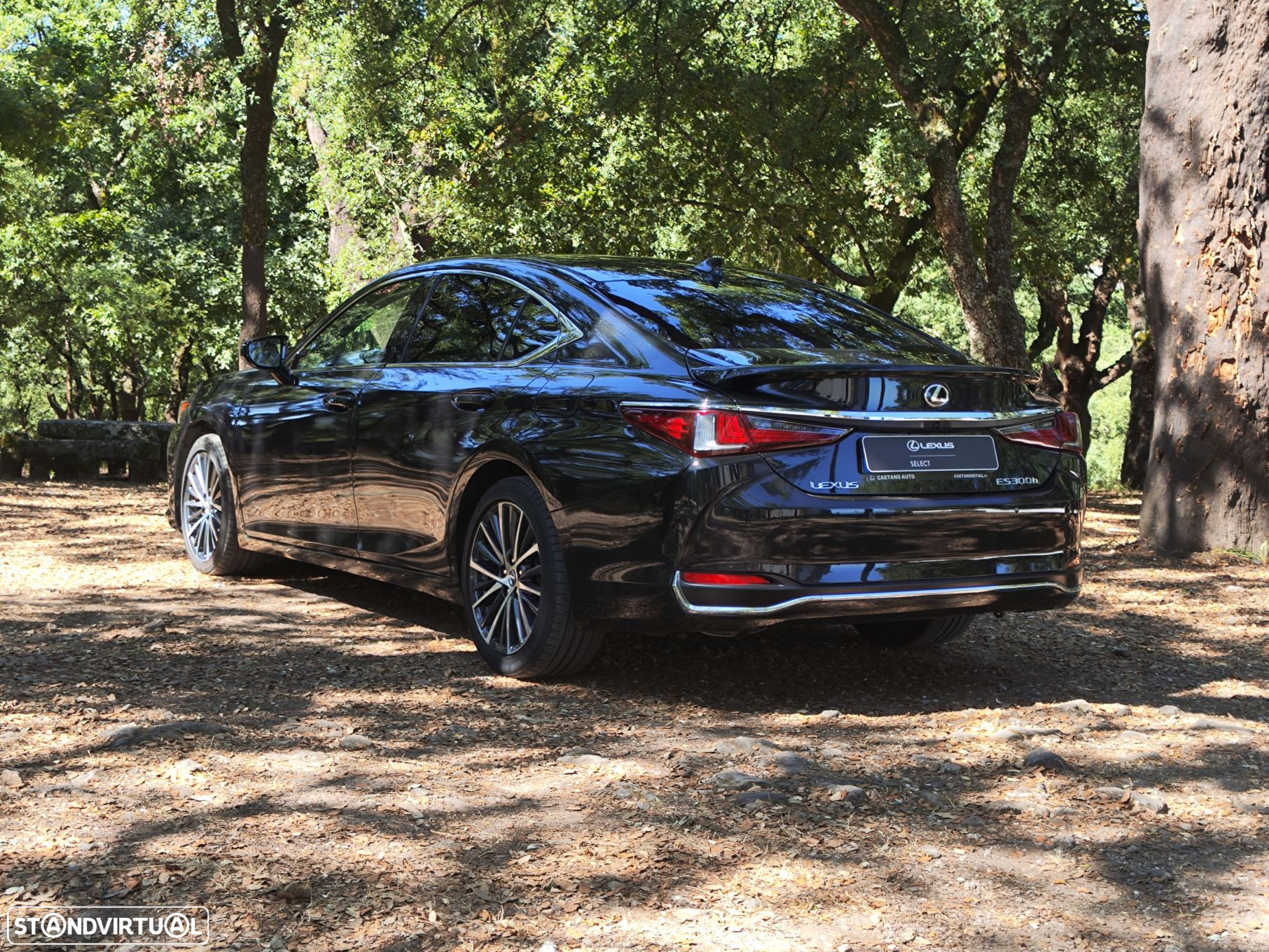 Lexus ES 300h Special Edition - 7