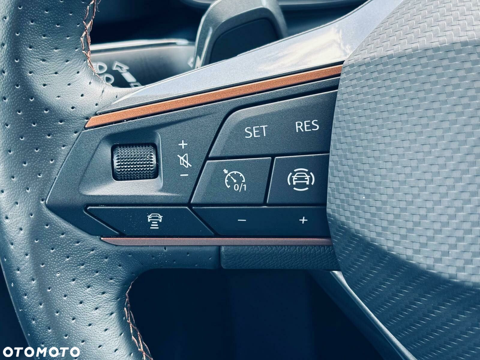 Cupra Formentor - 24