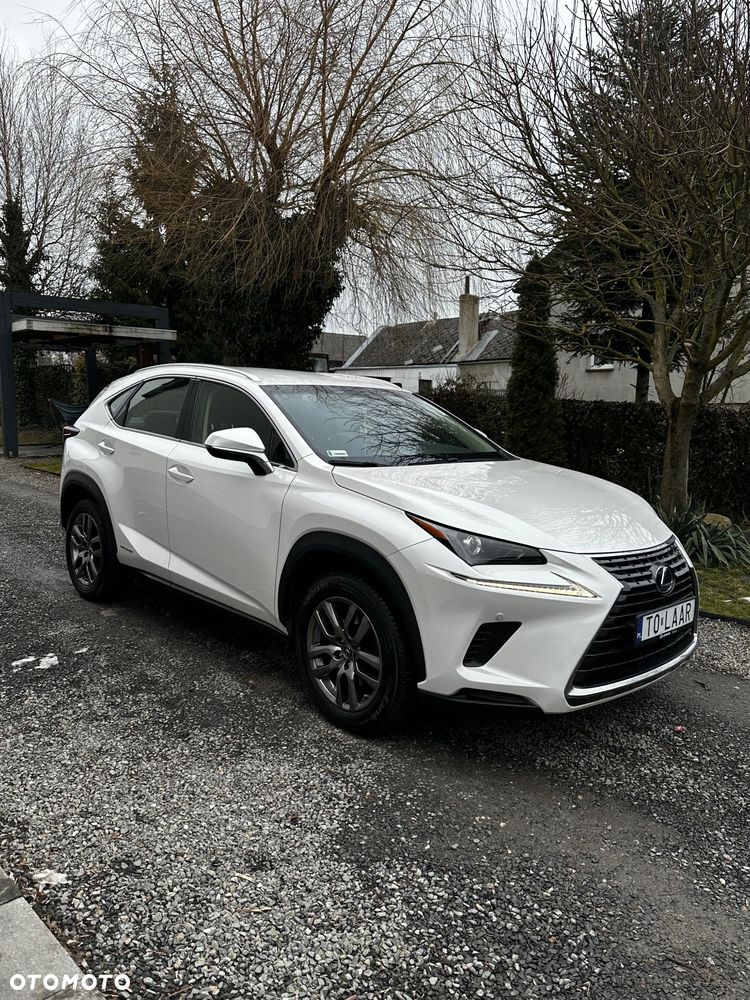 Lexus NX - 2