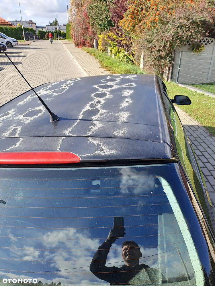 Volkswagen Polo - 8