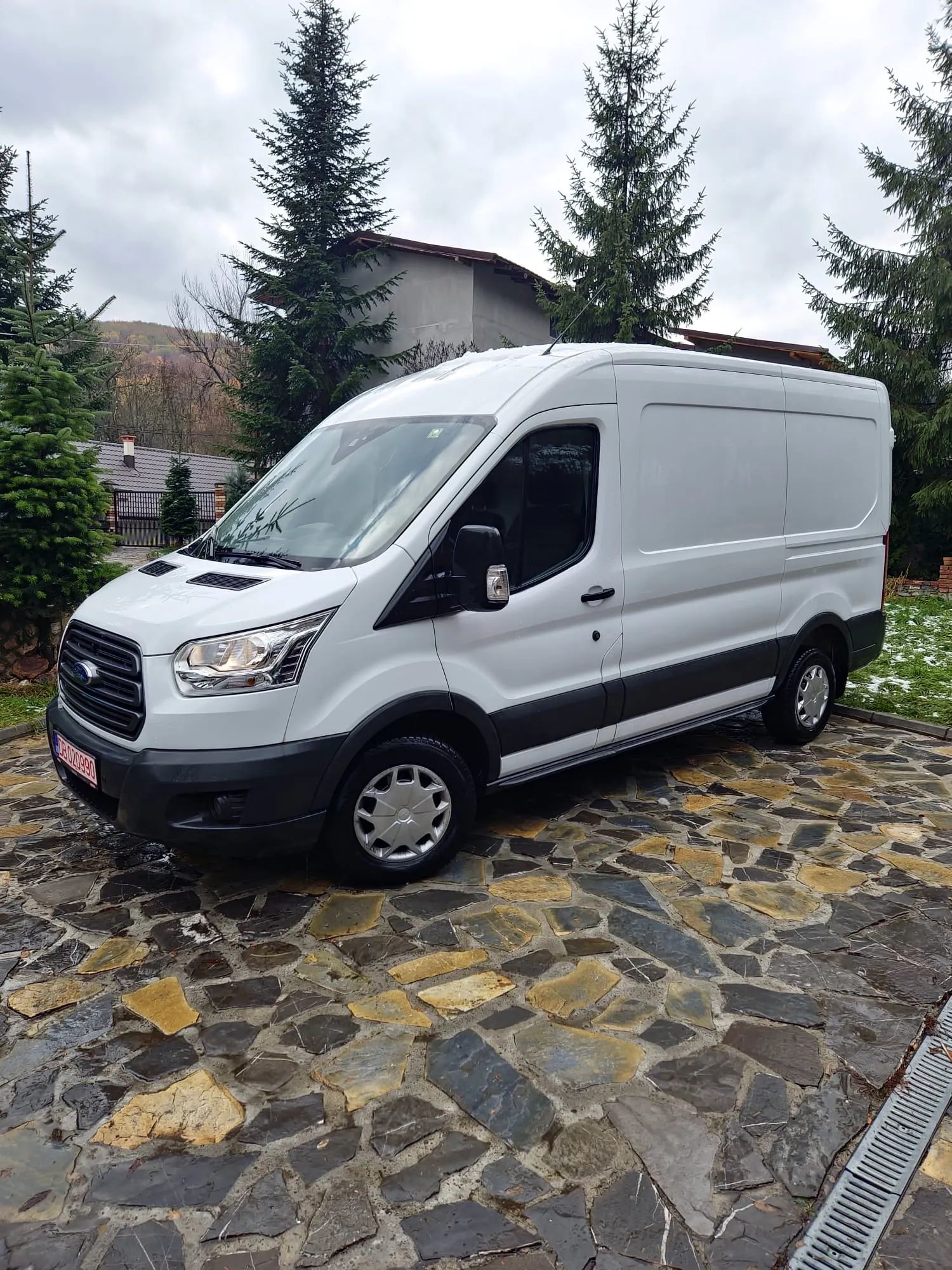 Ford Transit - 1