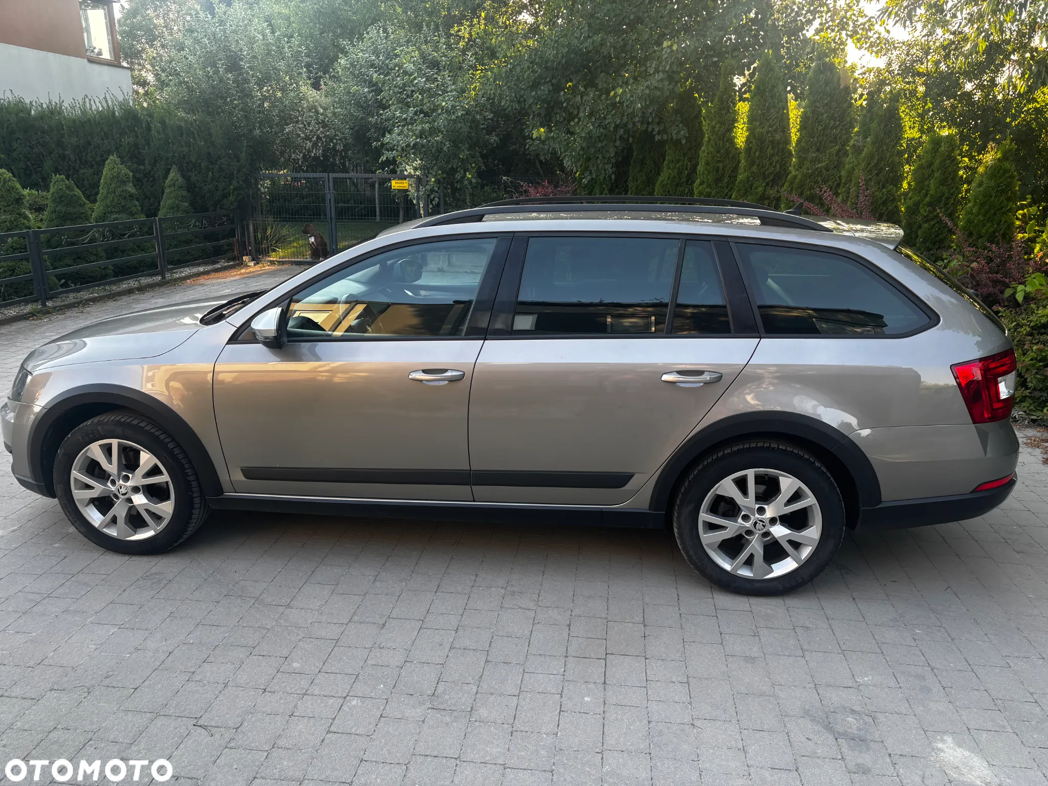 Skoda Octavia 2.0 TDI 4x4 Ambition DSG - 9