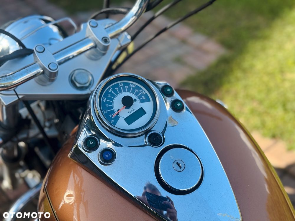 Suzuki Intruder - 10