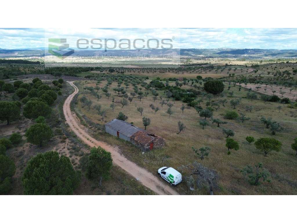 Terreno em Monte Fidalgo - Grande imagem: 3/25