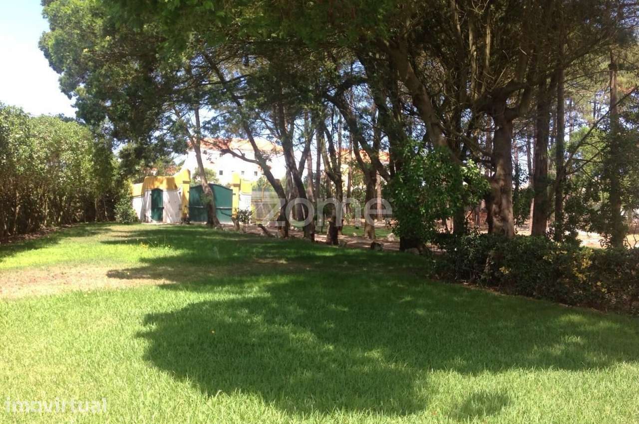 Quinta T4 Caldas da Rainha - Grande imagem: 2/6