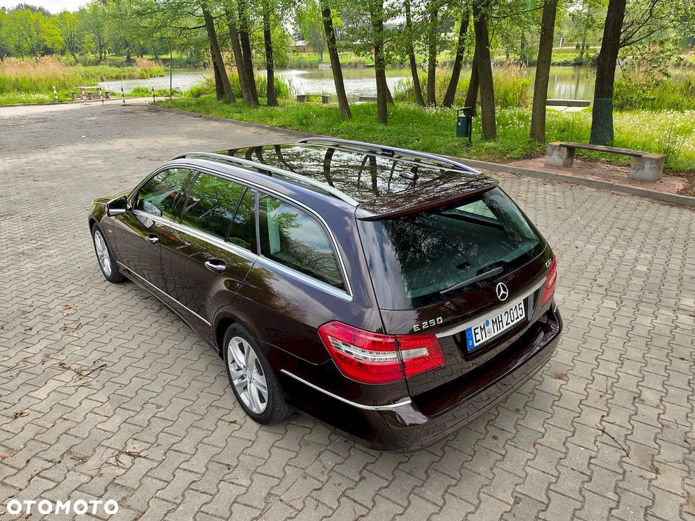 Mercedes-Benz Klasa E 250 CDI DPF BlueEFFICIENCY Avantgarde - 14