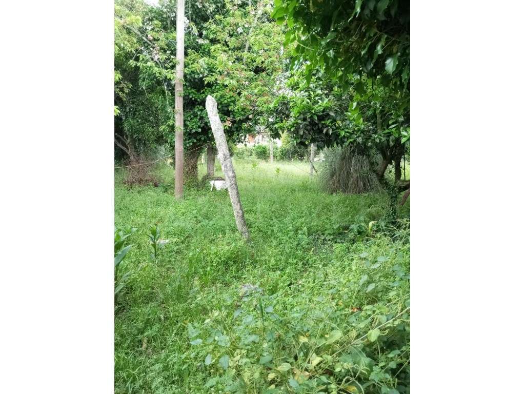 Terreno para construção em Bela, Monção - Grande imagem: 4/11