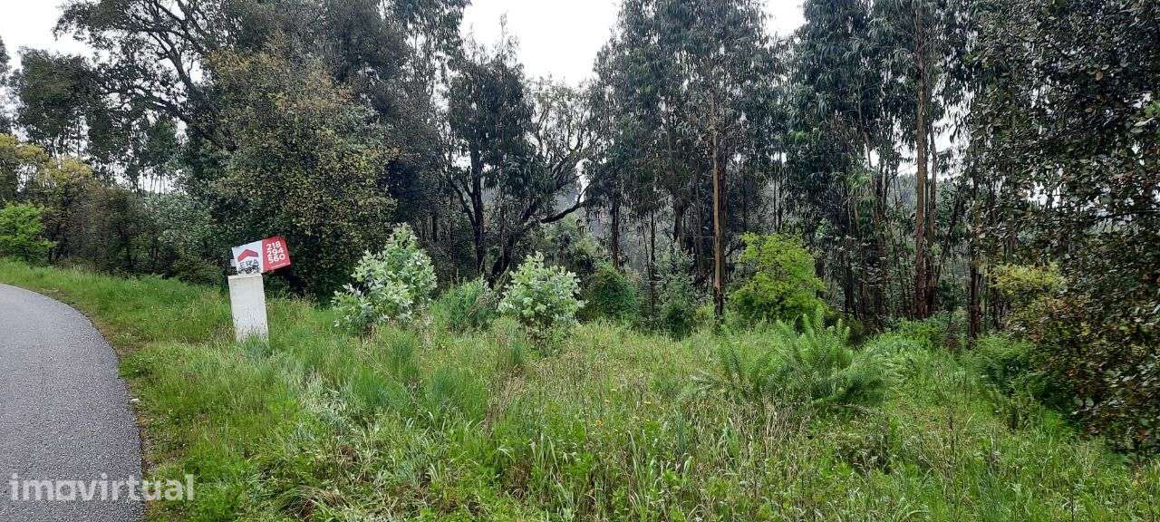 Terreno 1.200 m2 V. Nova de Barquinha -Santarém - Grande imagem: 3/9