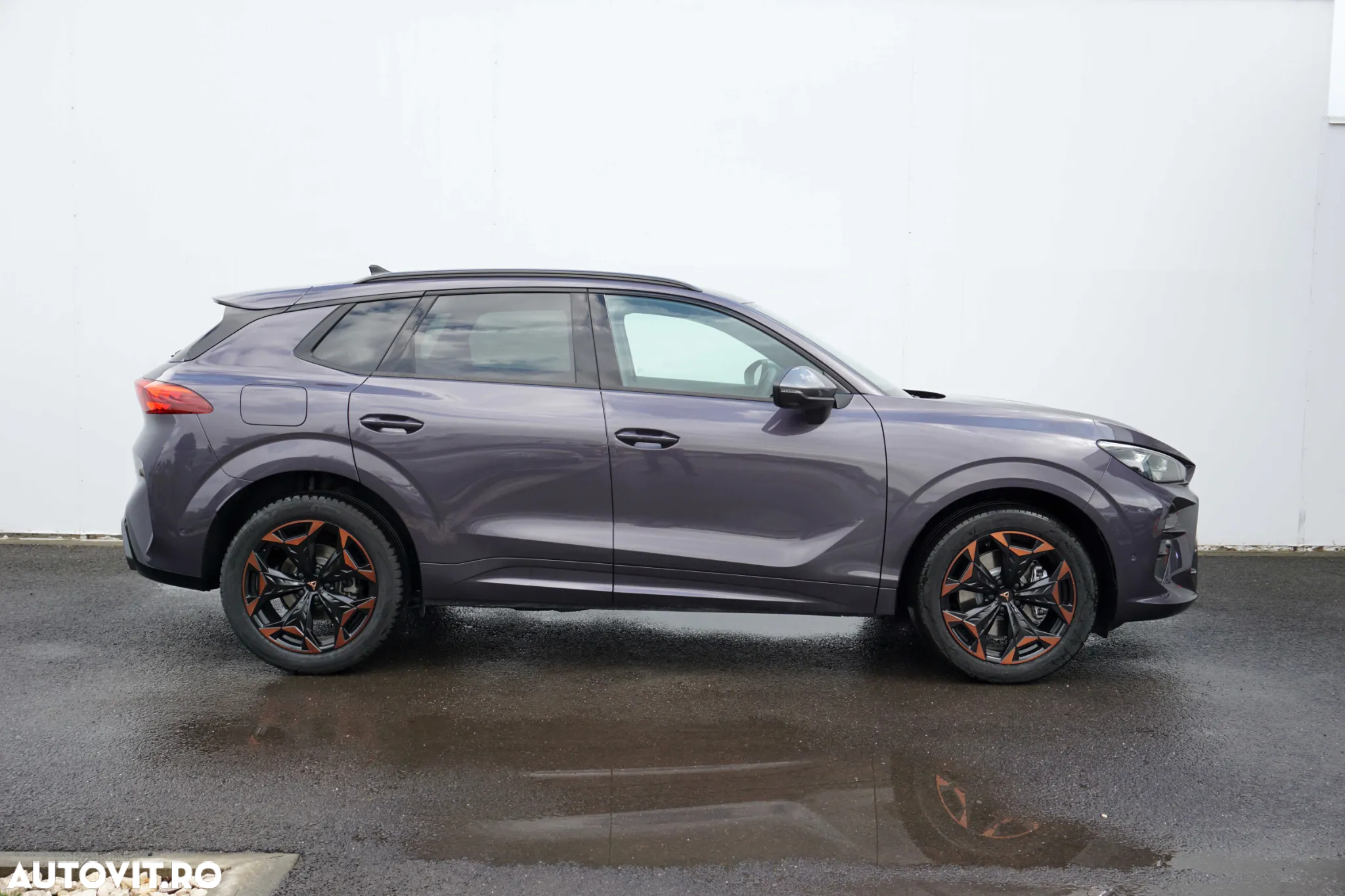 Cupra Terramar - 6