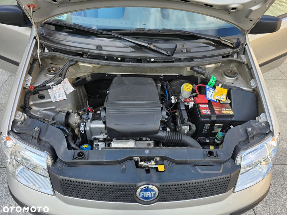Fiat Panda 1.1 Fresh Eco - 26