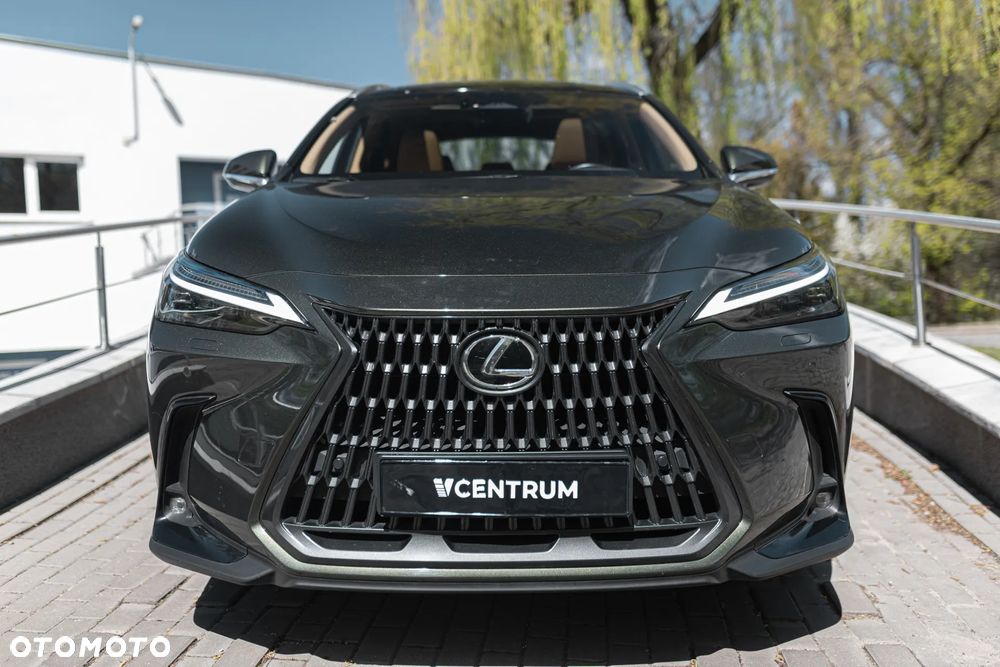 Lexus NX 350h Prestige AWD - 7
