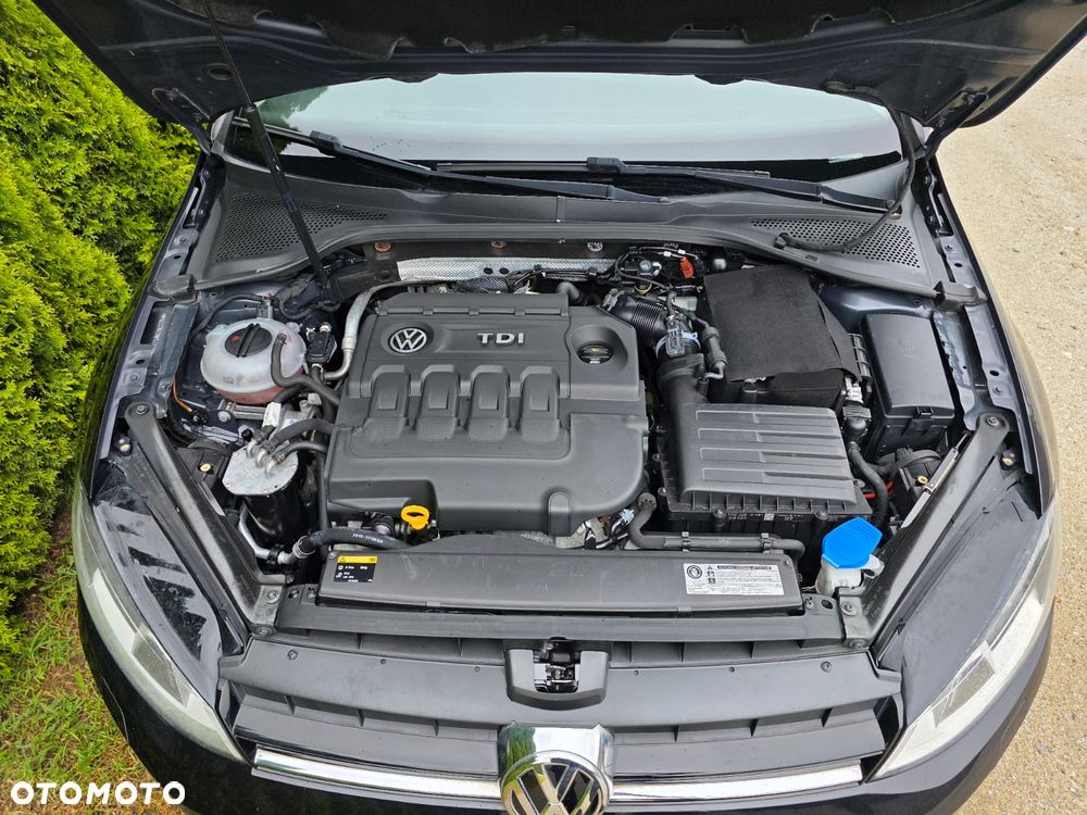 Volkswagen Golf 1.6 TDI BlueMotion Technology Lounge - 8