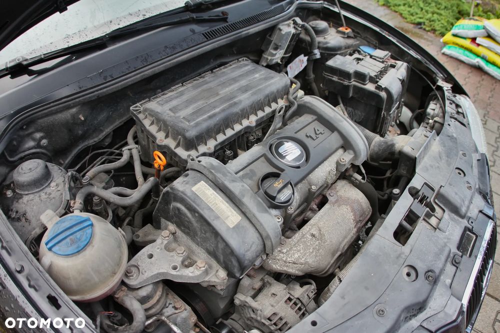 Seat Ibiza - 40
