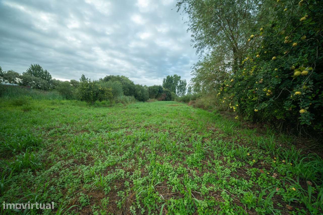 Terreno para venda - Murtosa - Grande imagem: 5/16