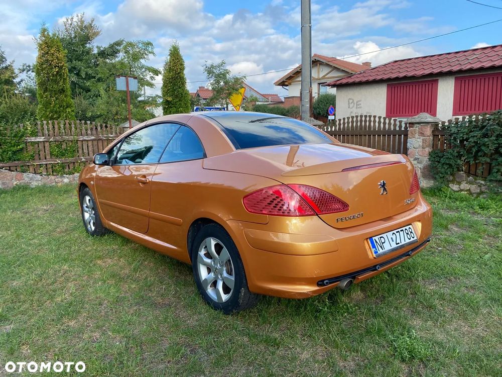 Peugeot 307 - 6