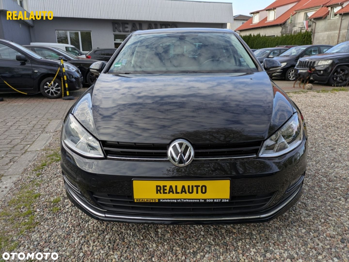 Volkswagen Golf - 9